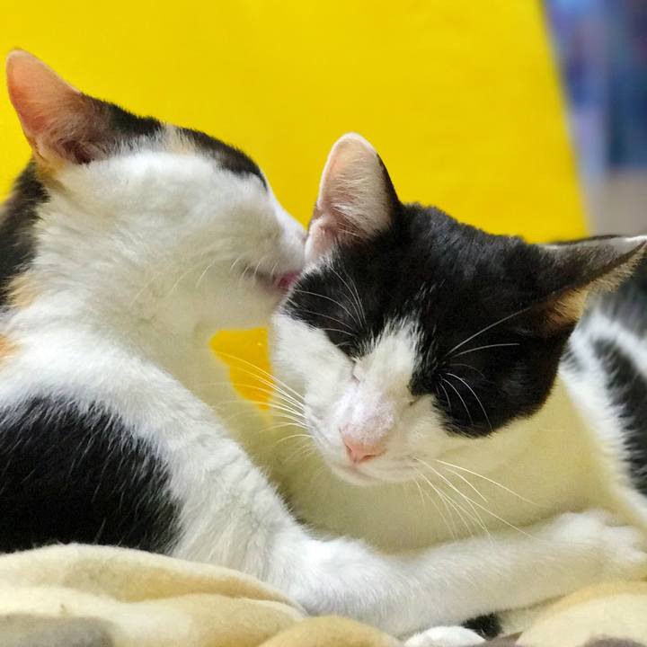 07aeb967 71cc 4ec0 8c83 1fdf9aeff1de