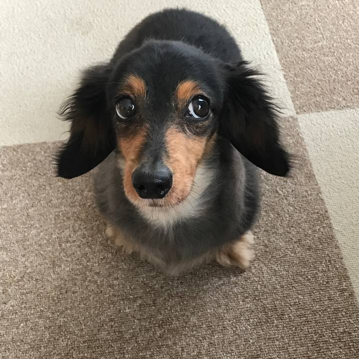 07af367e 73f0 4776 8a6c 10cc3fccd6da