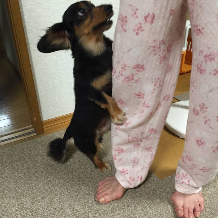 07afebce 1d8d 4d8a 8505 8bc9240dea71