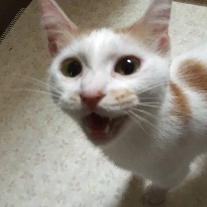 07b02ce0 ab1d 4cff 8134 c51b923f899b