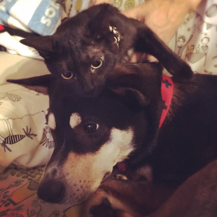 07b04037 166b 45bd 8d88 79e95b7463b6