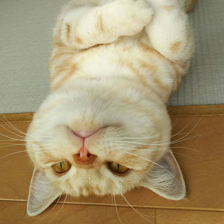 07b0e49d 2594 4526 b71e a722bb7f5450