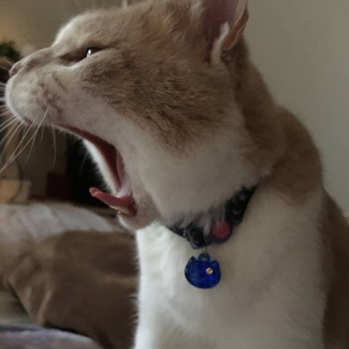 07b133f7 8acf 4538 9541 d9d70fb9e581