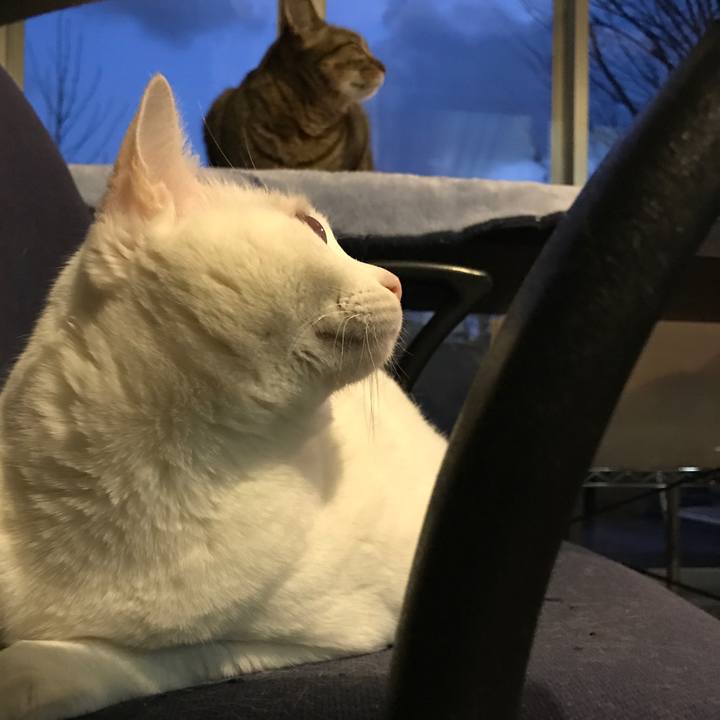 07b1eaed 07c1 45e0 a763 49c7049f3ee3