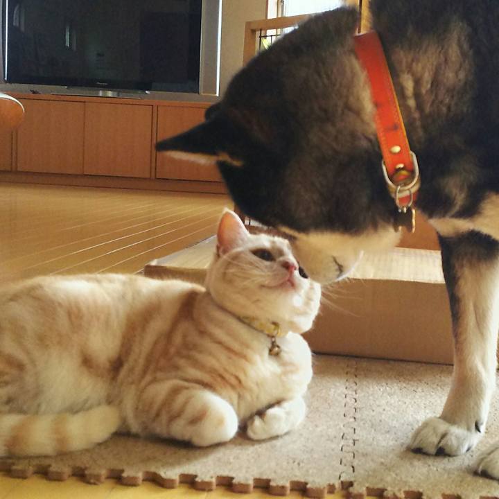 07b1f8b0 598d 454f 936e 3b55624390b6