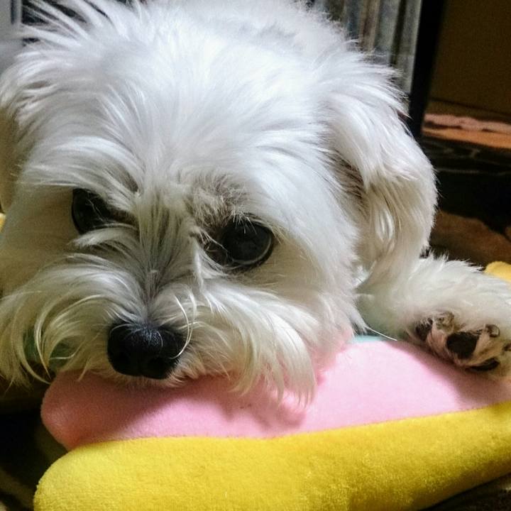 07b23a86 ce7b 422f ae0b caf338562e02