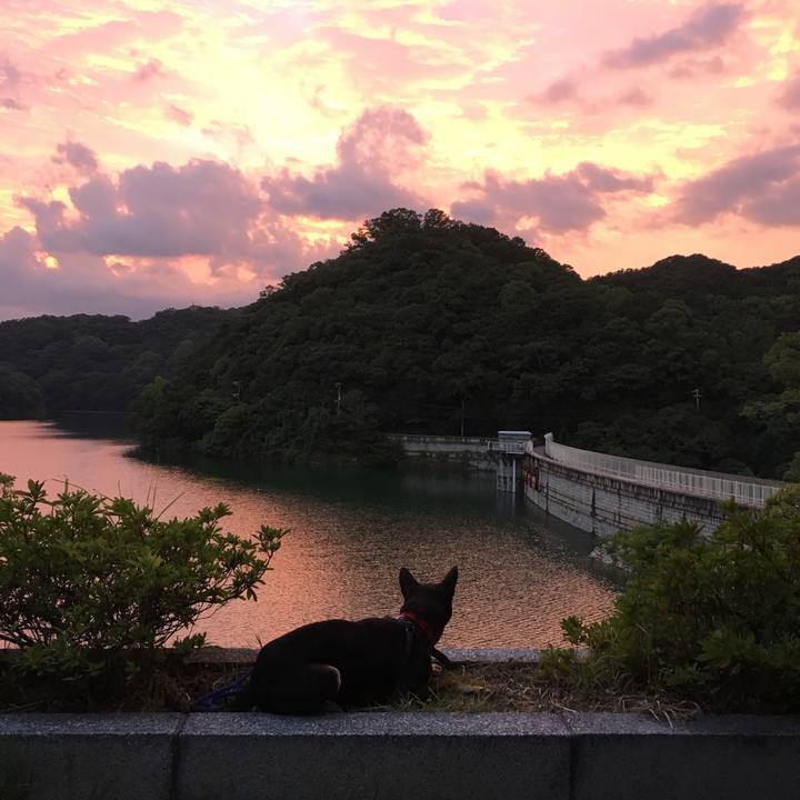 07b281f5 04af 47a4 a116 a1293993df0e