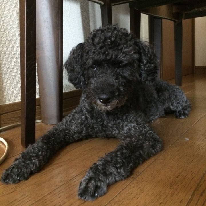 07b30a41 8e0c 4025 a9b5 04d764e14b96