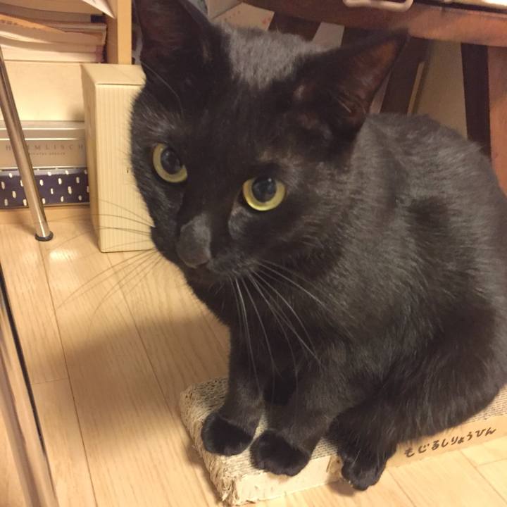 07b317eb 3246 4343 831c 3f5ded561762