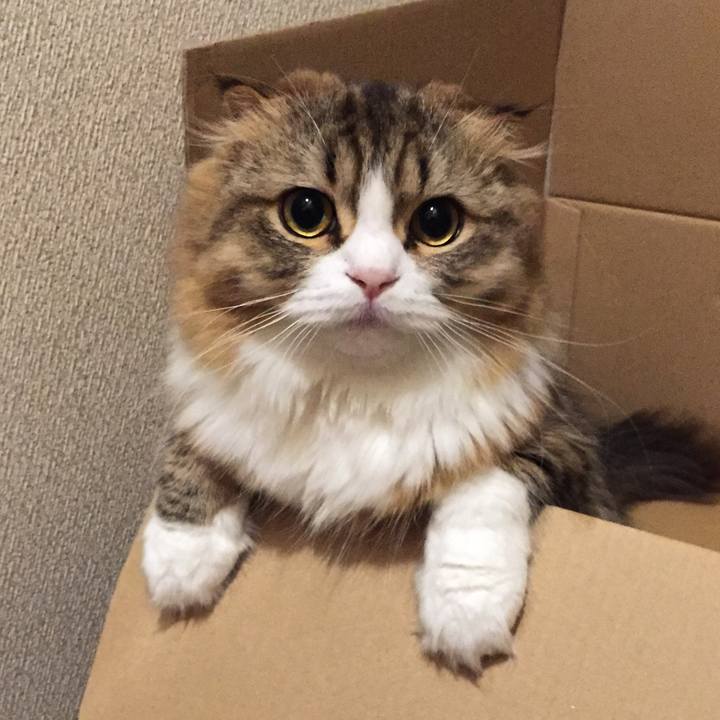 07b32dd5 a55e 4bb6 8873 11220367b396