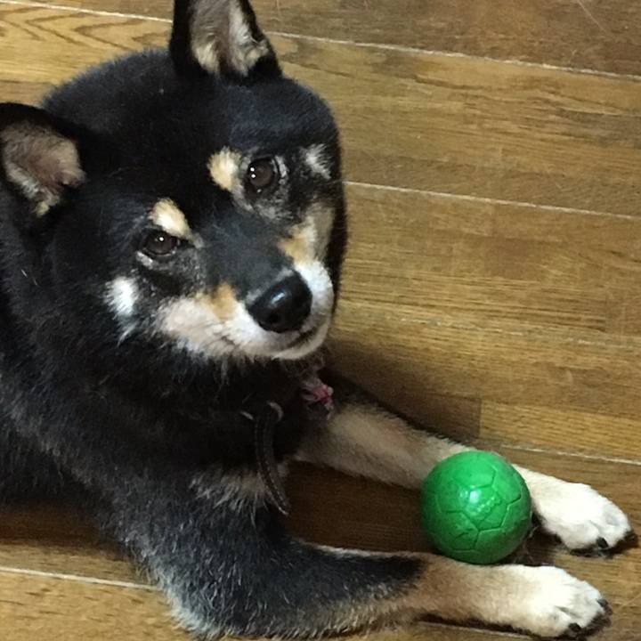 07b3a325 a45a 4563 a18b 51a9e3907ca8