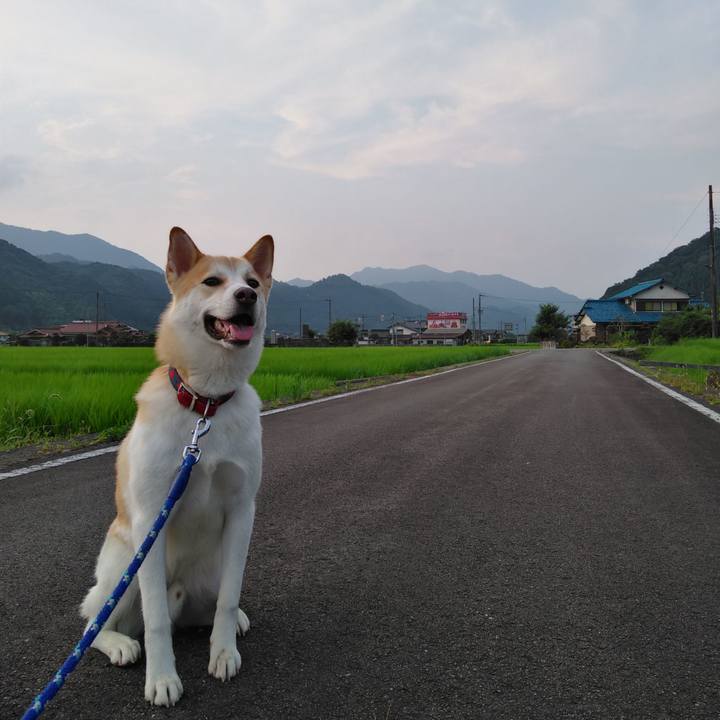 07b42b34 8d13 4f61 8434 e316fda1f757