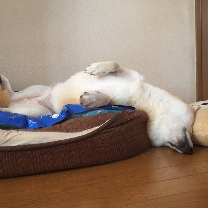 07b43e43 8c19 446e b0a1 36ae6323e174