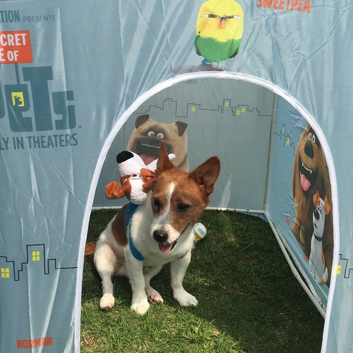 07b43fcb afee 4970 b8c2 88226f1b3a1a