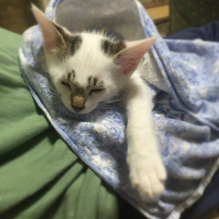 07b495a9 99d8 4282 8669 8d5035a508c0