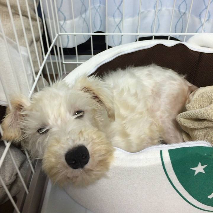 07b5524c 0579 4674 9ddb ae493180adef