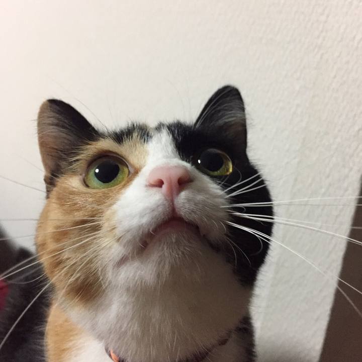 07b569ee 5c8d 430c 9e7b d178fb0b41fc