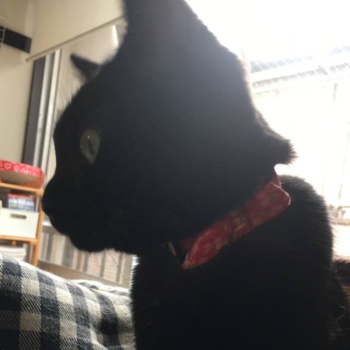 07b6d1d2 775a 417b 97db 5e4523ebc838