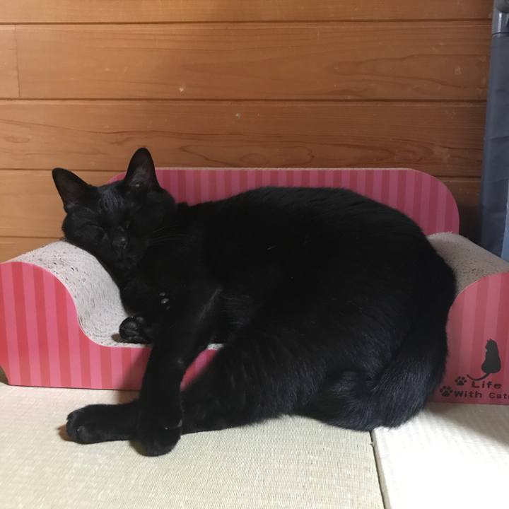 07b6d372 ec05 44ca 9483 4f02b6129c7e