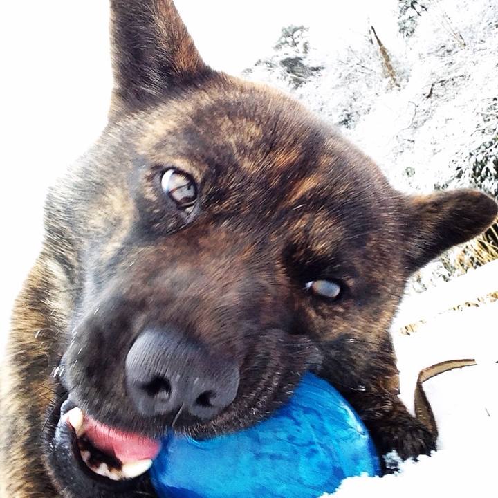 07b72c87 aef2 4c7b 998f 65b8b5d28ac0