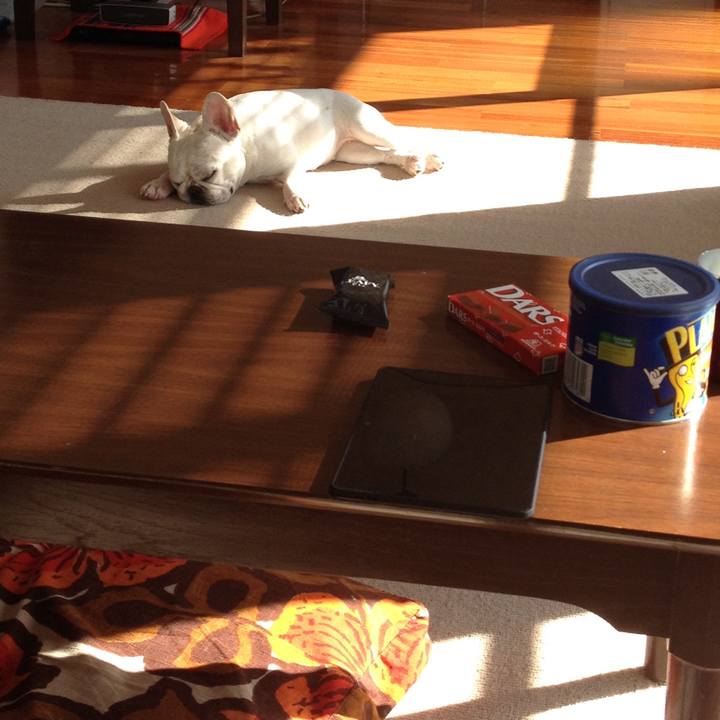 07b78320 6ae7 4659 9191 4854ecfaee47