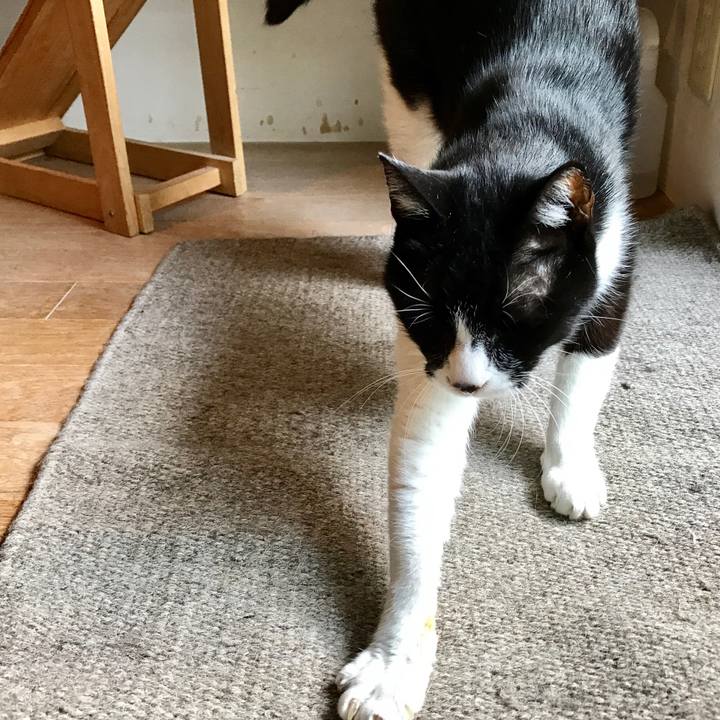 07b7d07a 0a43 49cc a2ca df30f5173e5c