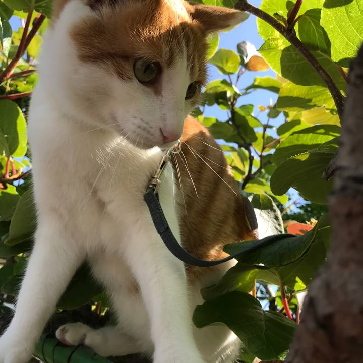 07b7d6f9 8dab 402b ac13 f09d1edde8a4