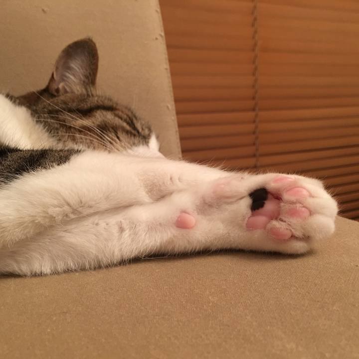 07b86981 a422 4250 905c 4265cf983762