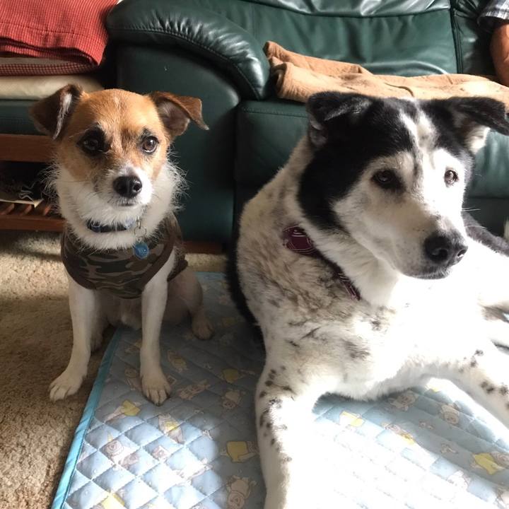 07b8bf6b 9944 478b a7a1 72b30d49db8e