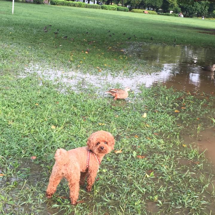 07b9048a e215 4549 874f d16f63665f24