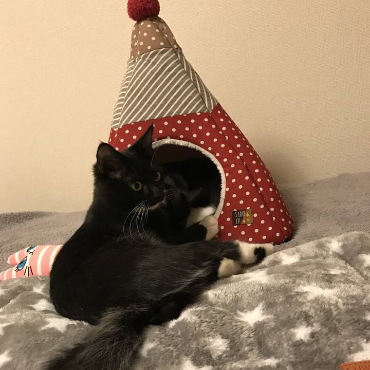 07b93c3b 903b 487e 91e0 fe5774d482a6