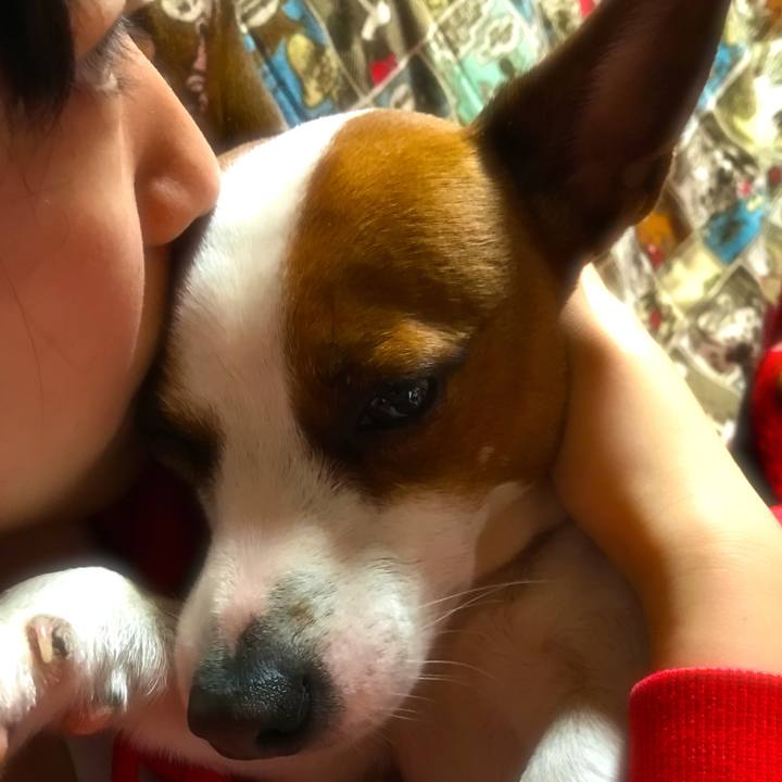 07b9b086 f682 4a76 a51c 357842ded231