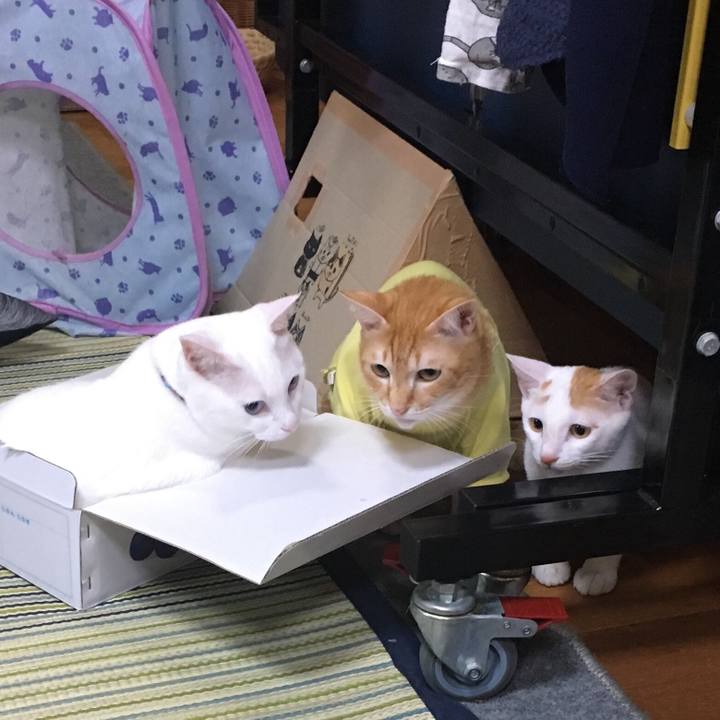 07b9cbc5 378d 460d 9d99 302634b498a2