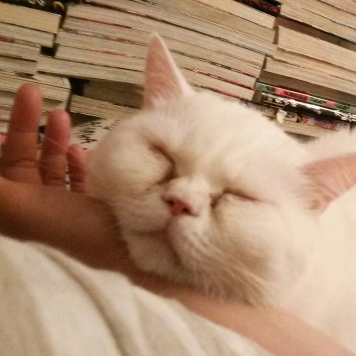 07ba1f2a 36c9 4f60 aa54 faac8c979cb0