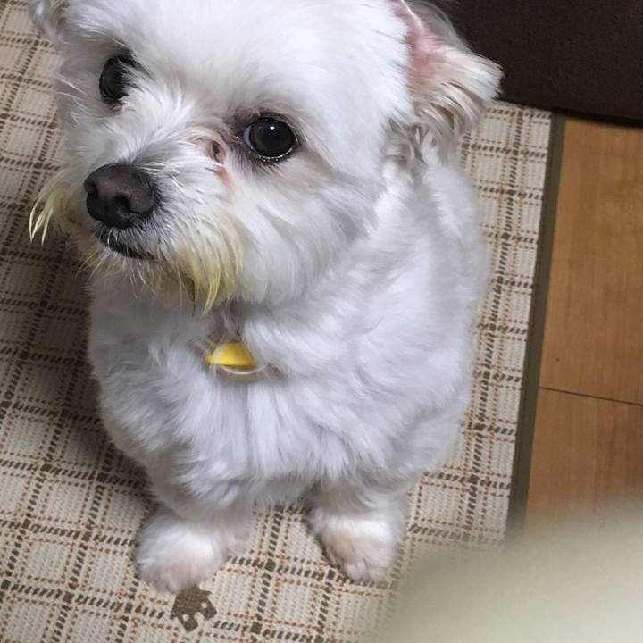 07ba6555 2065 474b aef7 22a0b28d6ae2