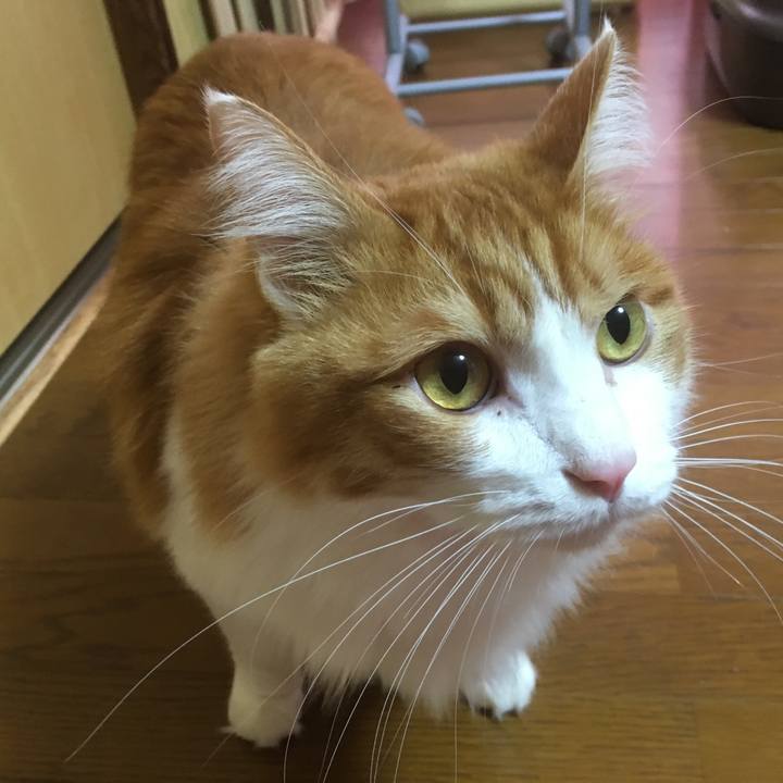 07bb2138 2486 417d a21d 6aa84327c85f