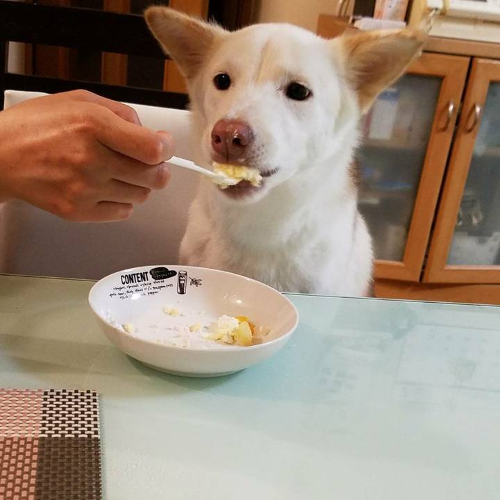 07bcb971 8712 4c62 95f9 fa9c9e3309a5