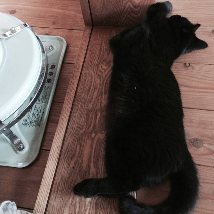 07bd5d5d 15f5 4355 8c93 a92520460944