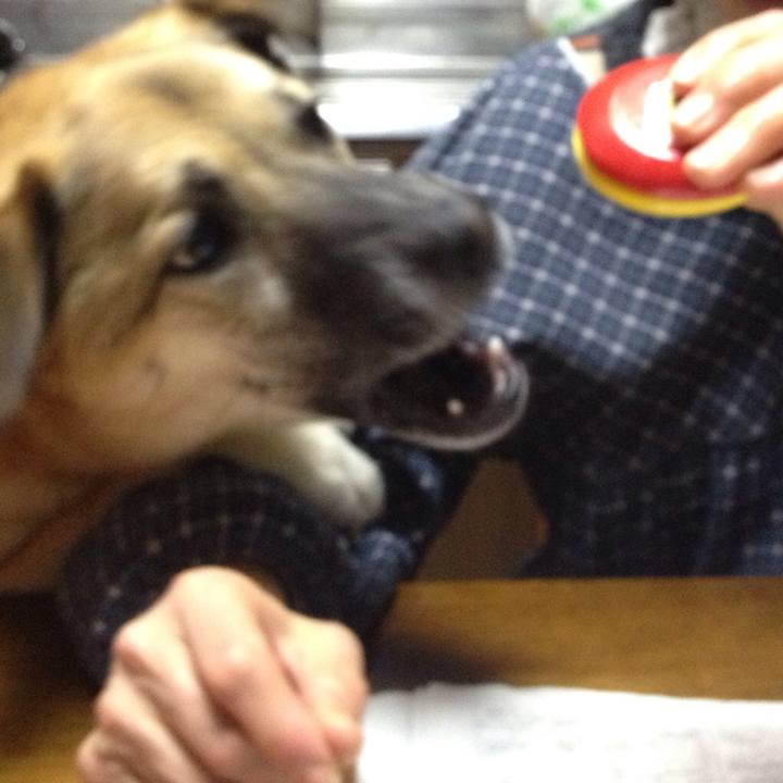 07bd996e a2a5 43be 9f15 edd70a93017a