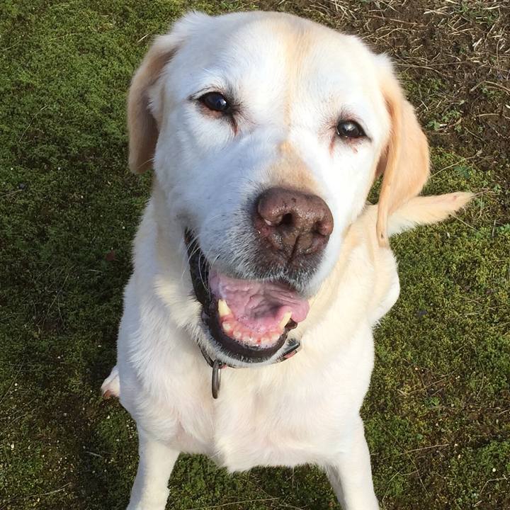 07bdb519 14c4 4516 8158 0c08de76704c