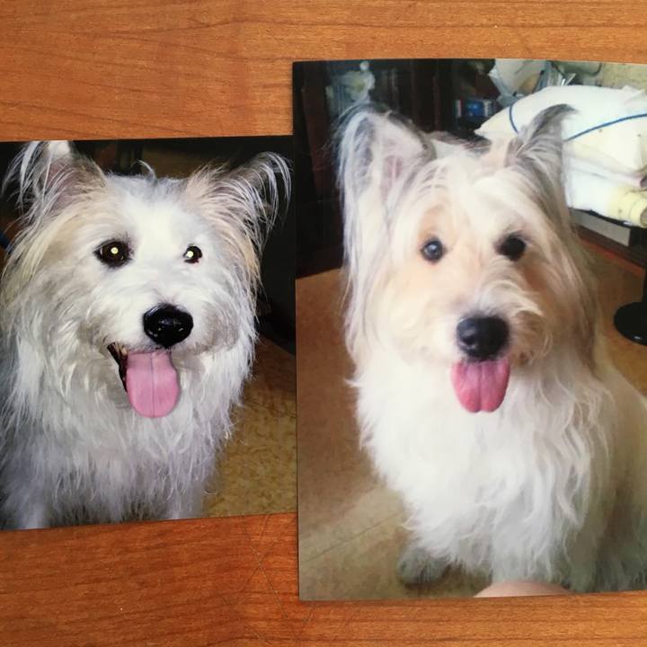 07be3cab a138 45c0 8b6a 710bf7784edc