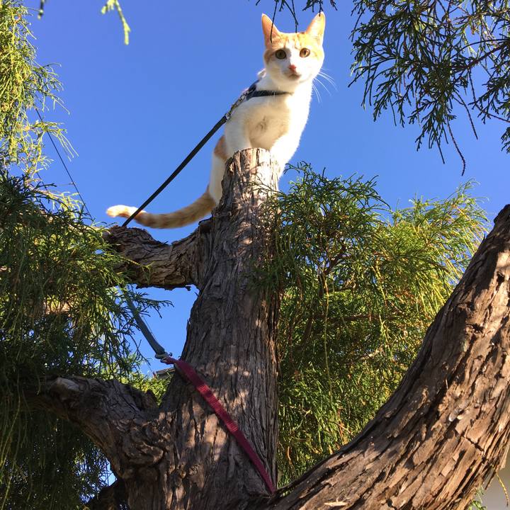 07beceaa 2374 4538 b479 c4e924d6d1b4