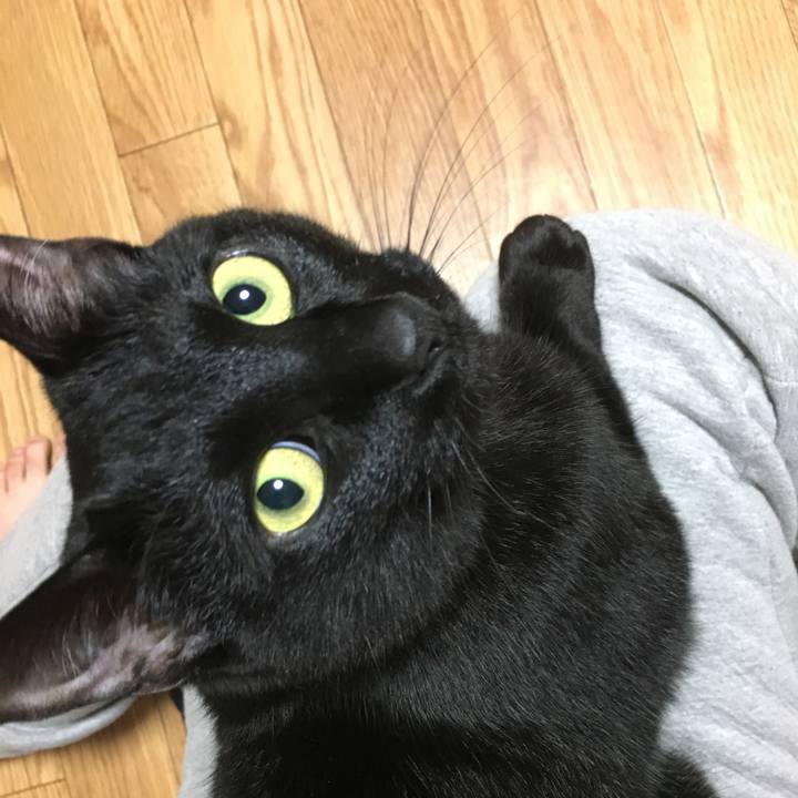 07bed6f6 0ec7 41b1 99b3 48a1fa4b02ad