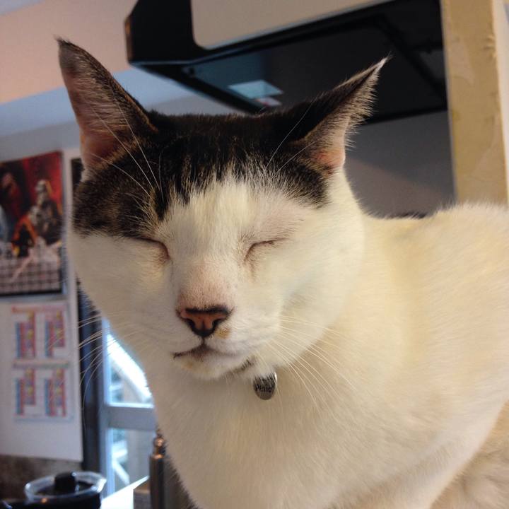 07bf0eac fe29 4f84 8f05 ce3f1734bc5a