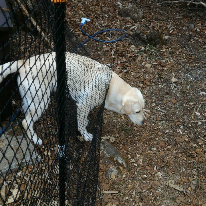 07bf6095 b865 4613 8aec 376d0d5fbe13