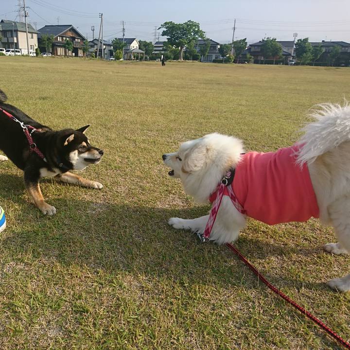 07bfa6b7 30c7 47af b113 9e739c6b7605