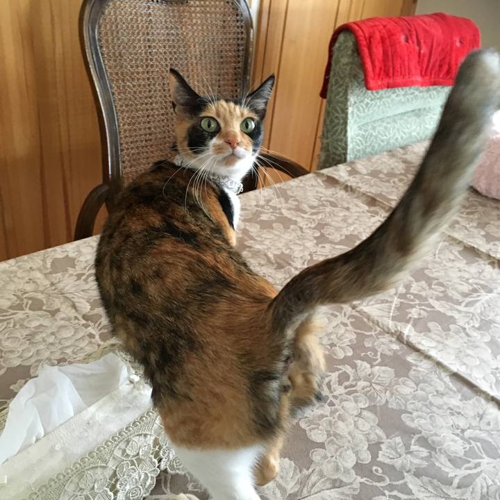 07c01672 df6f 4176 929a 3966473bb086