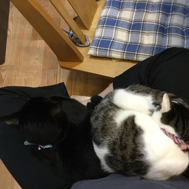 07c0a385 03d3 4802 9e20 050df5d7641d