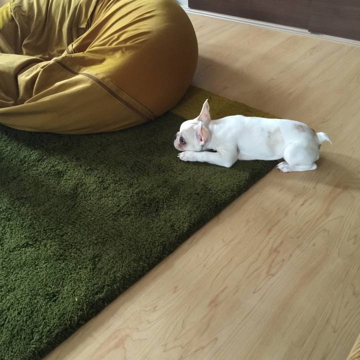 07c0bc52 11c9 444e 8be2 749d81cf977e