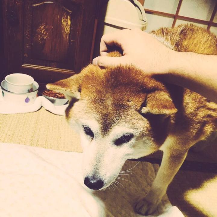 07c10094 e420 4498 8273 75c7c8f2d668